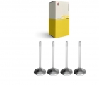 VALVULA ADMISSAO MOTOR CORCEL 1.6 4PÇS VA0590094 METAL LEVE