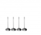 VALVULA ADMISSAO MOTOR CORCEL 1.6 4PÇS VA0590094 METAL LEVE