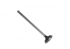 VALVULA ESCAP. MOTOR PERKINS 4248/4236 C/1 CANALETA VS1161